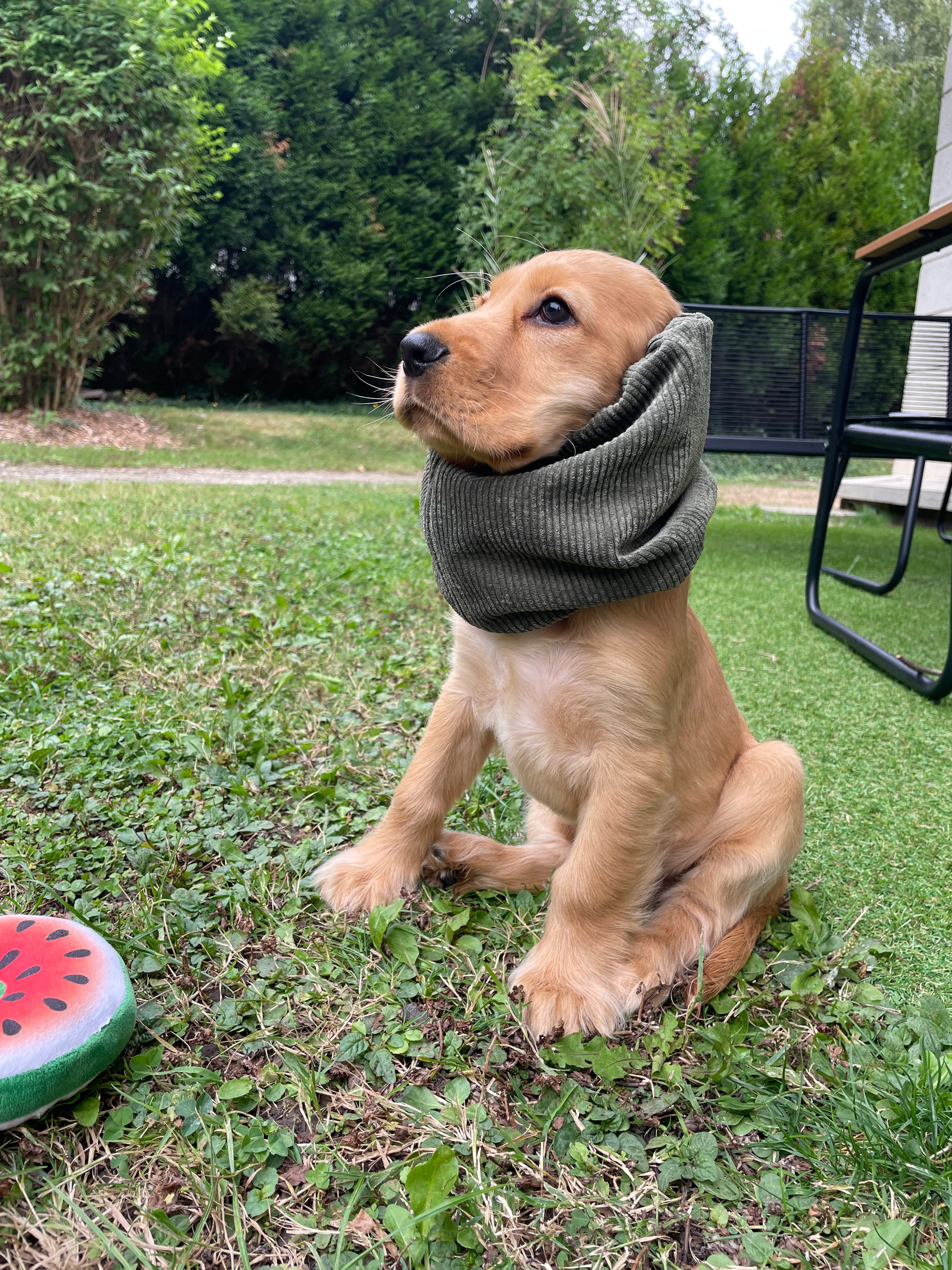 Snoods