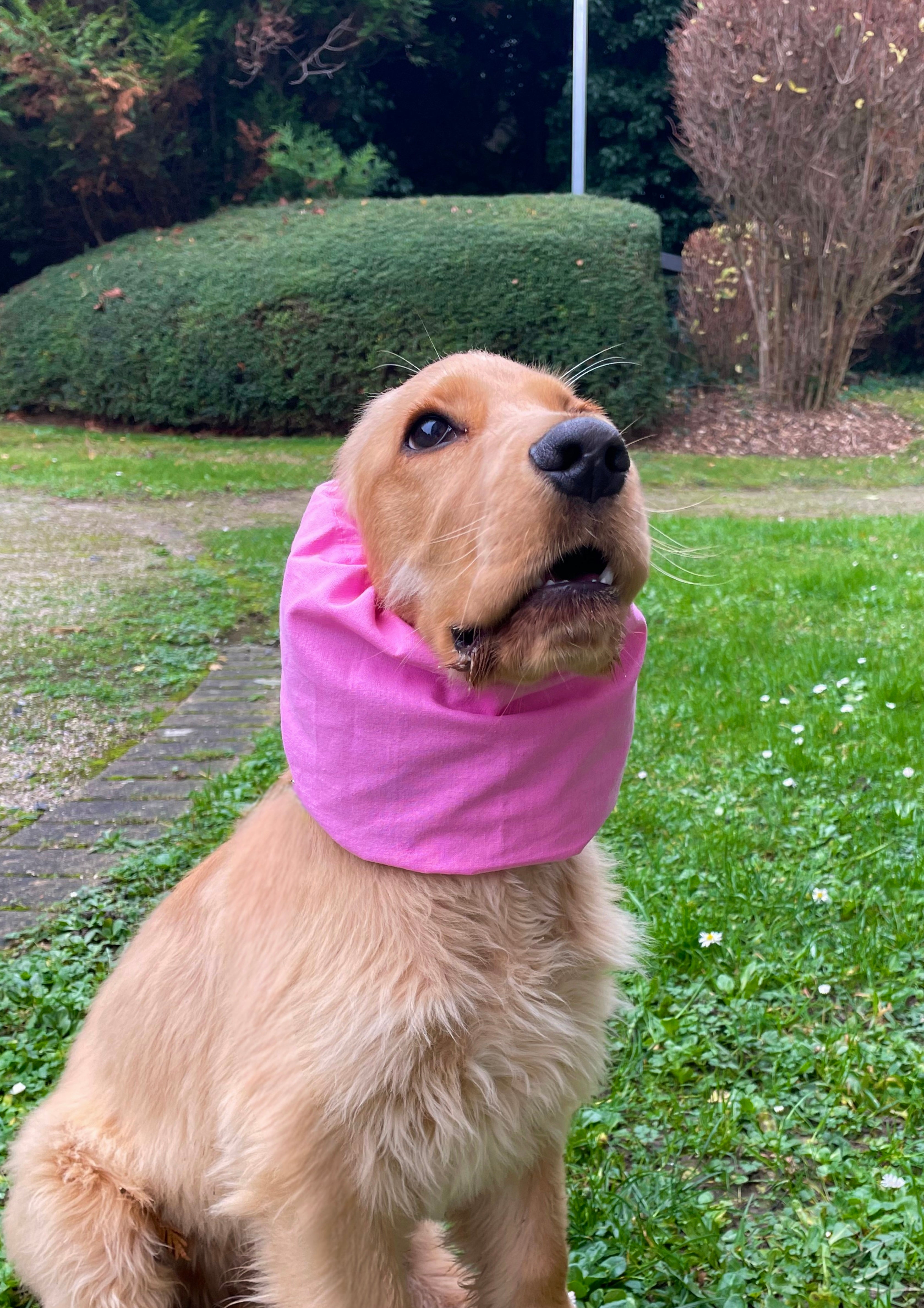 Snood coton