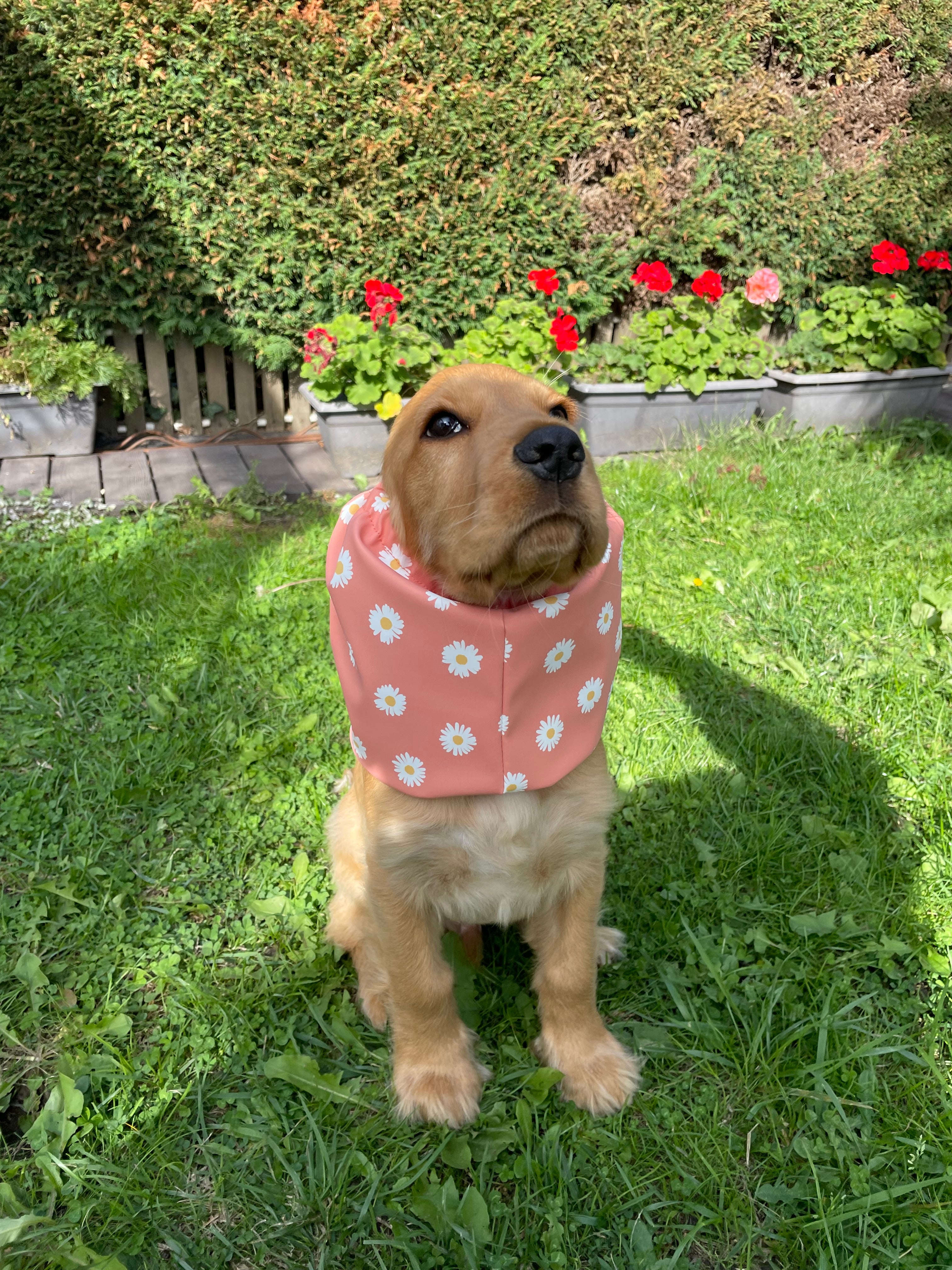 Snood imperméable