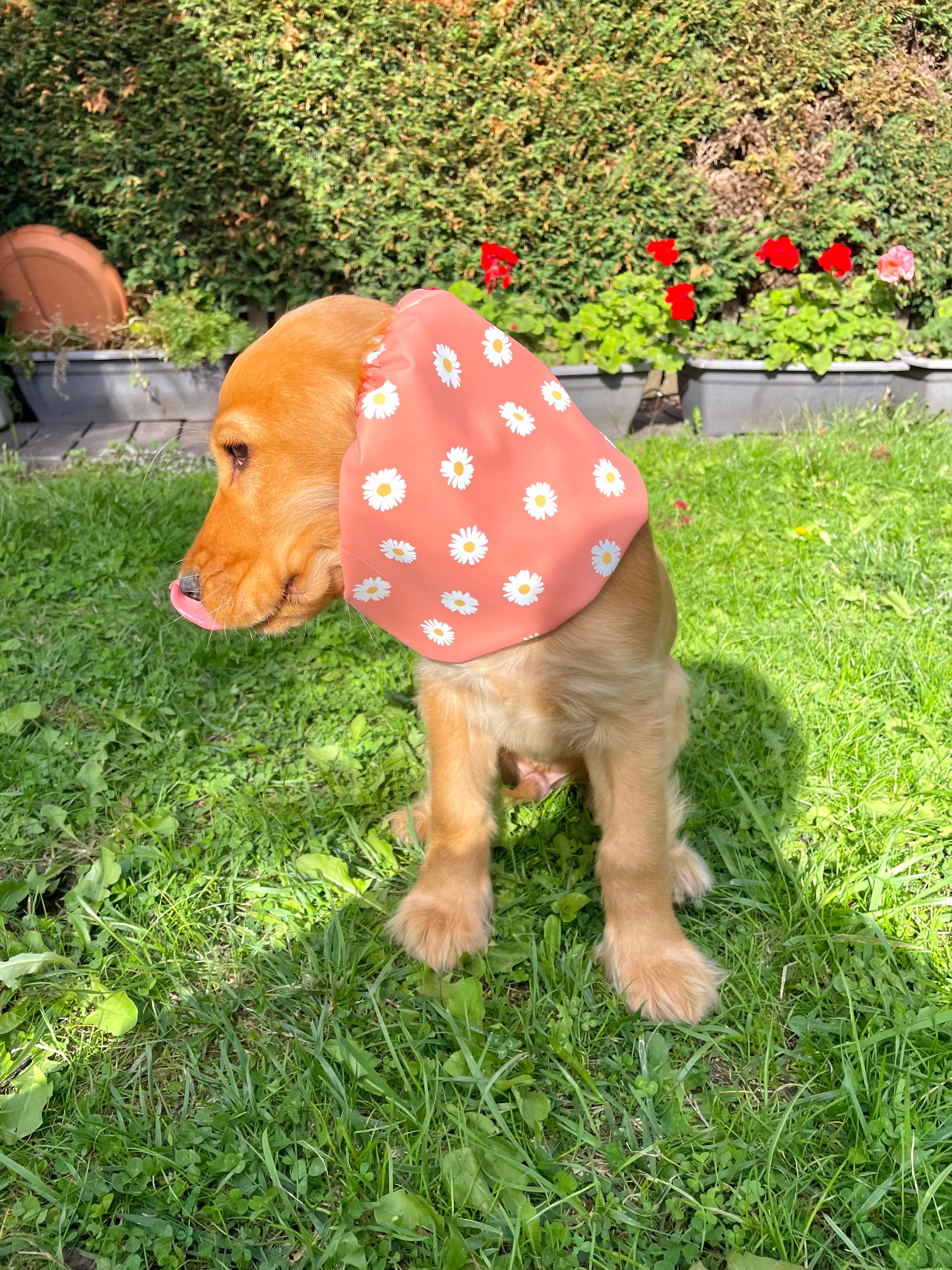 Snood imperméable