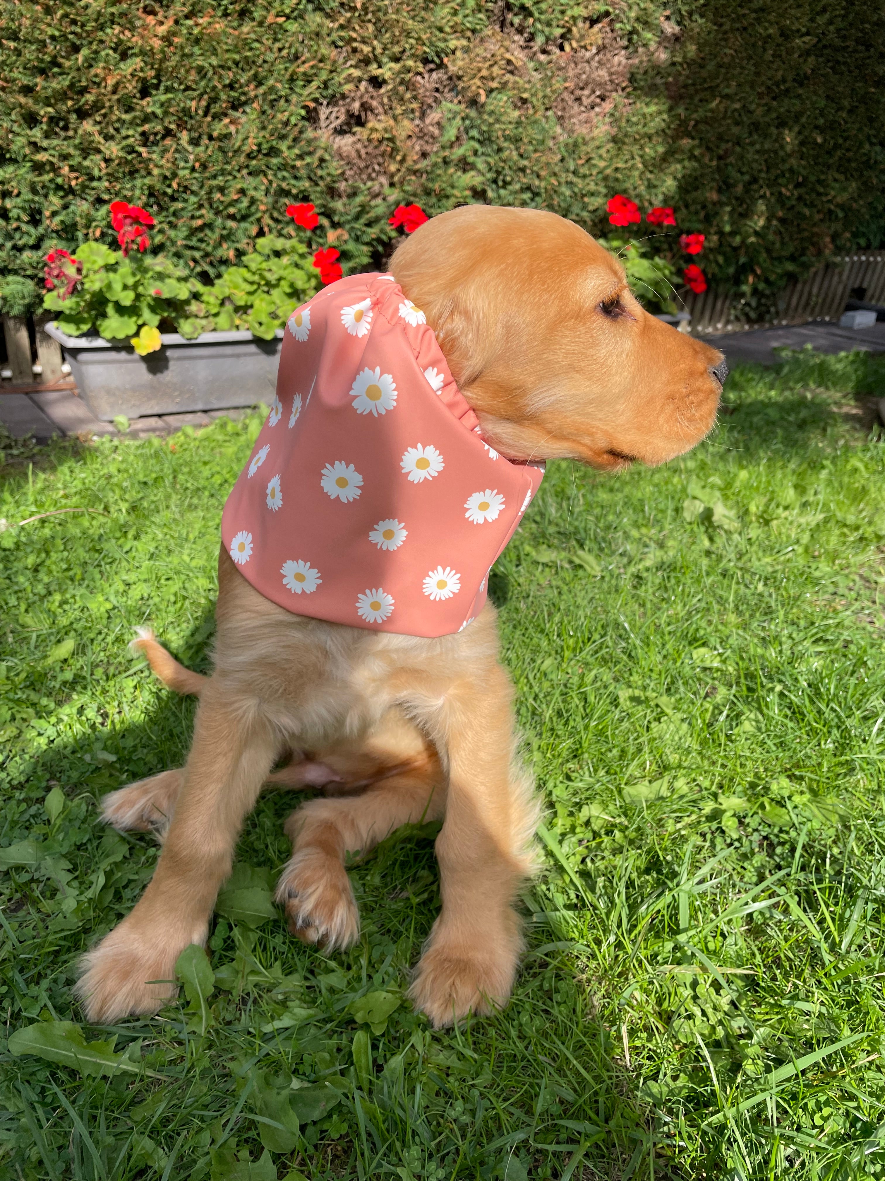 Snood imperméable