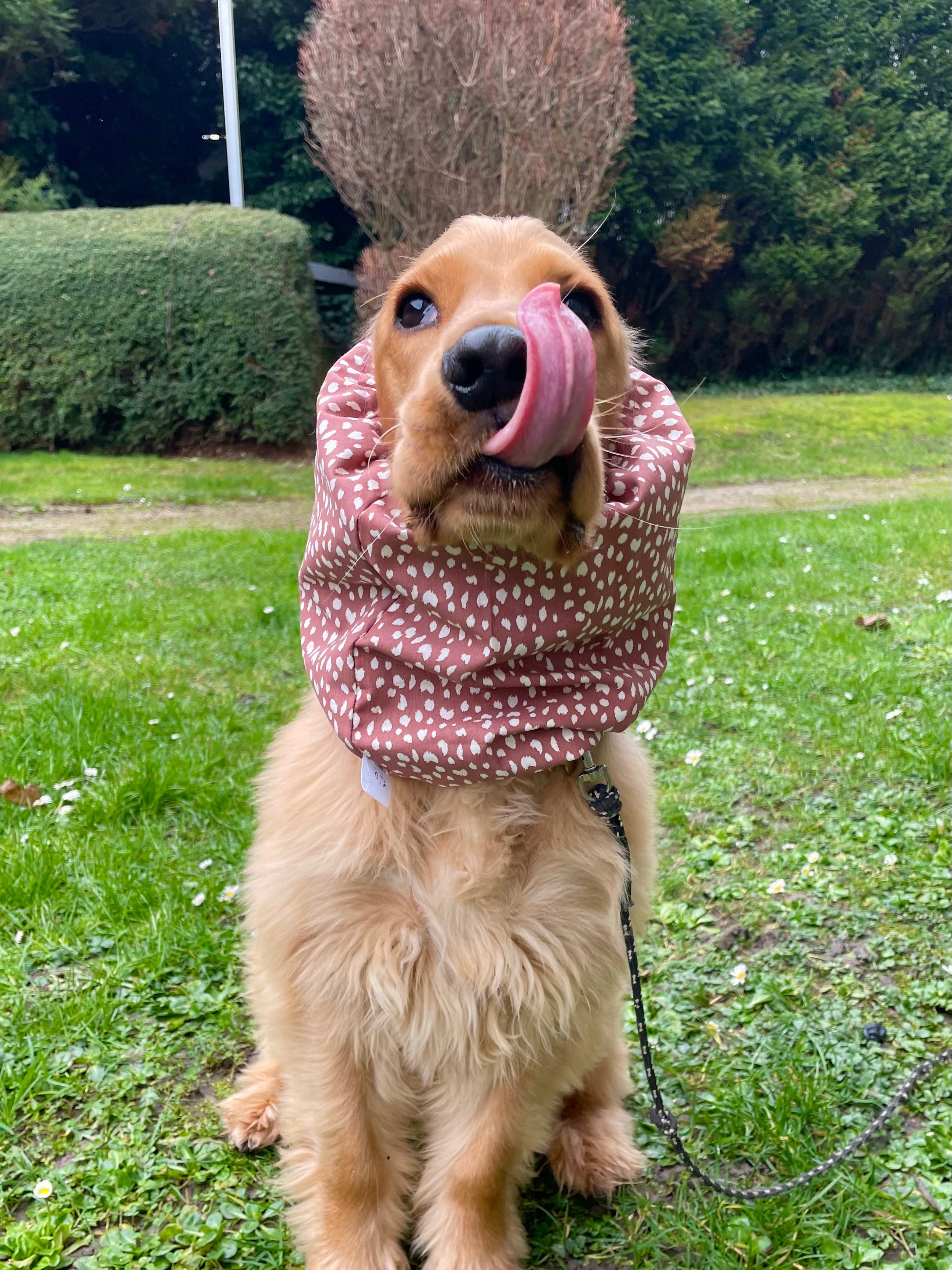 Snood coton