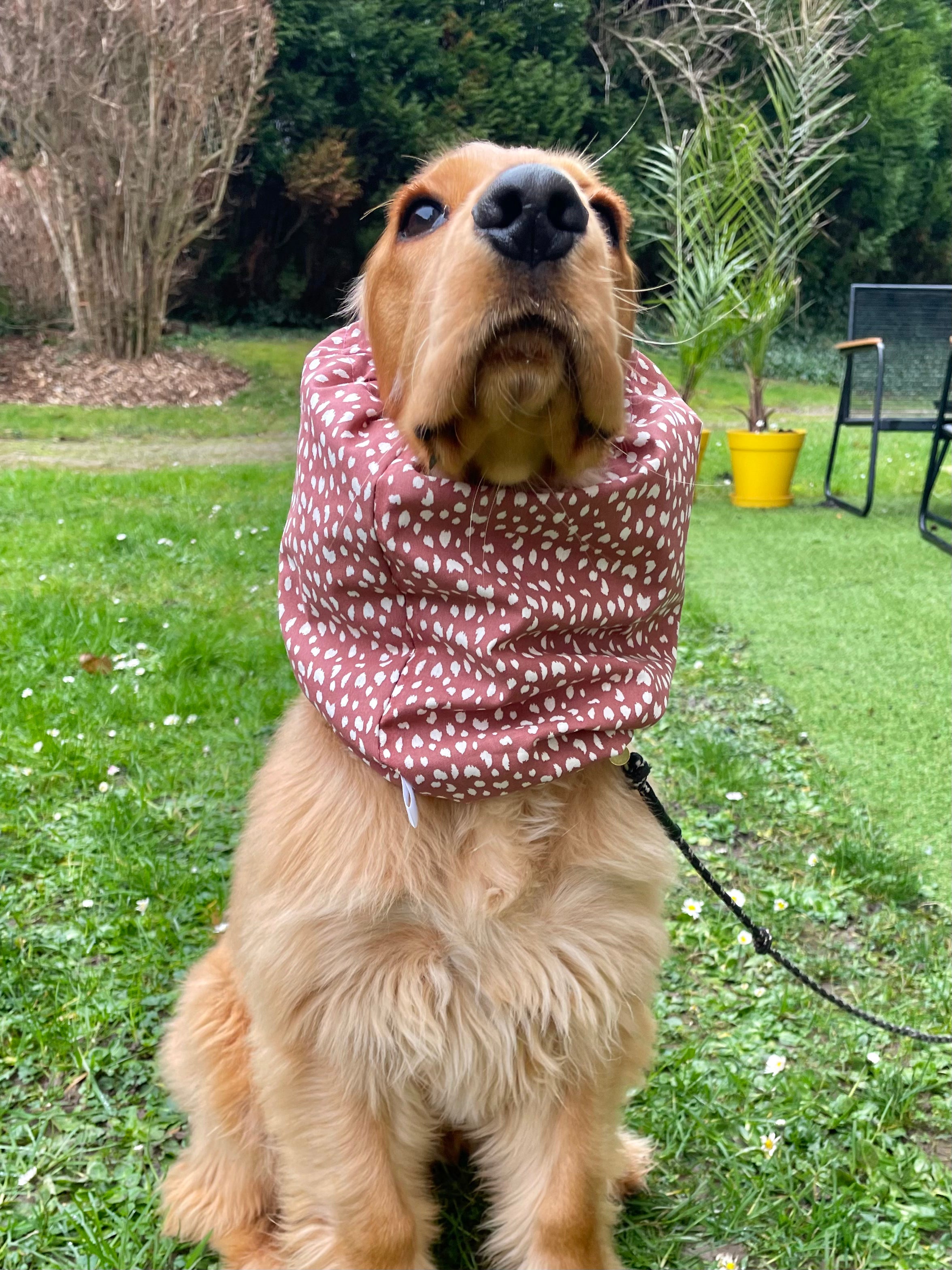 Snood coton
