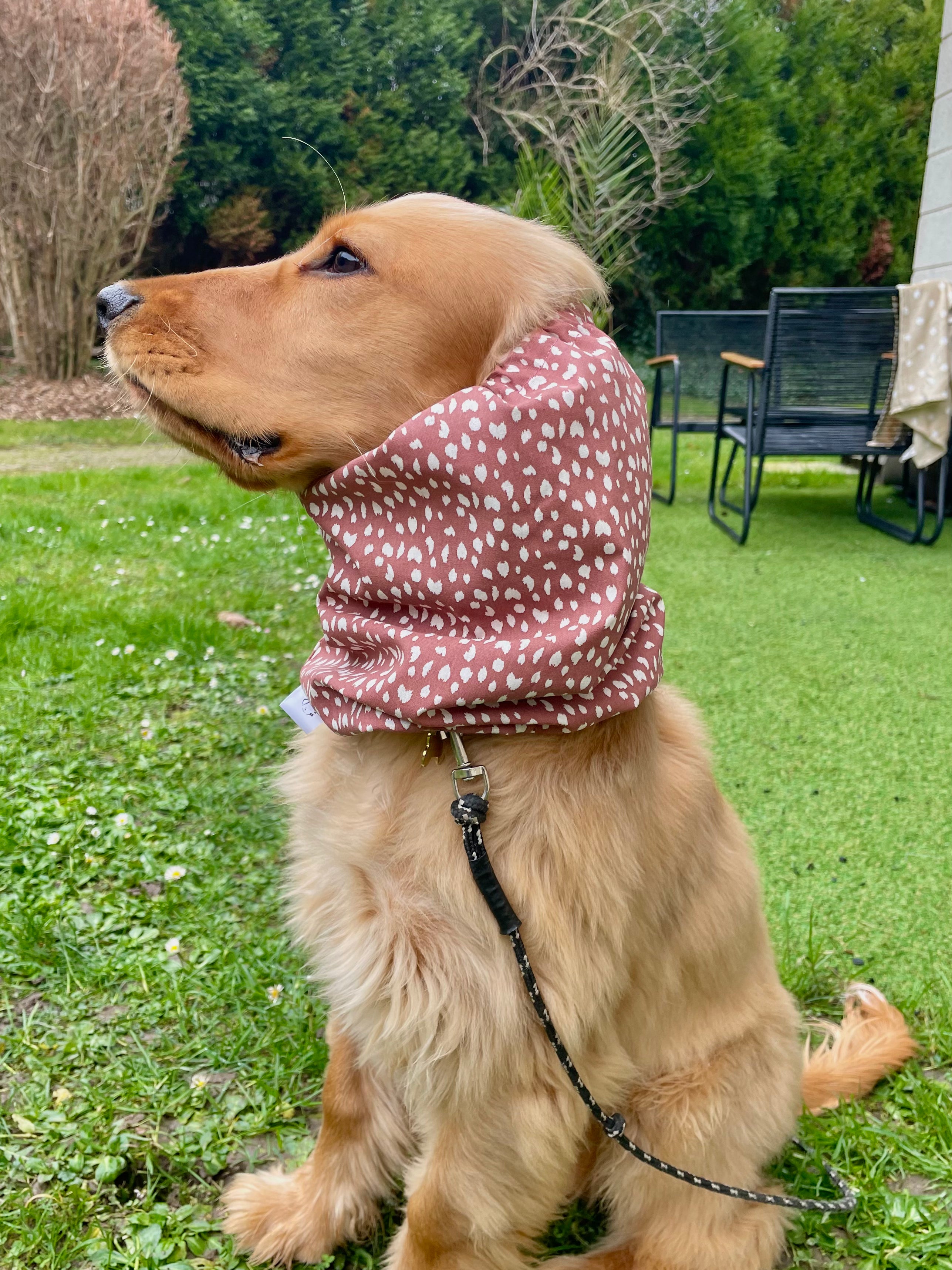 Snood coton