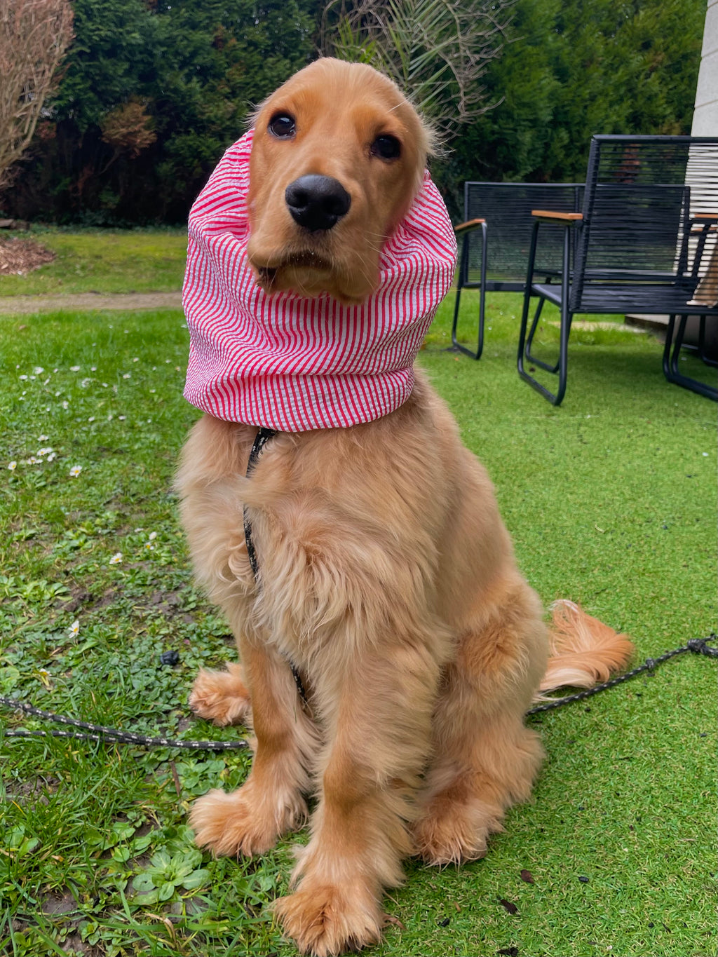 Snood seersucker