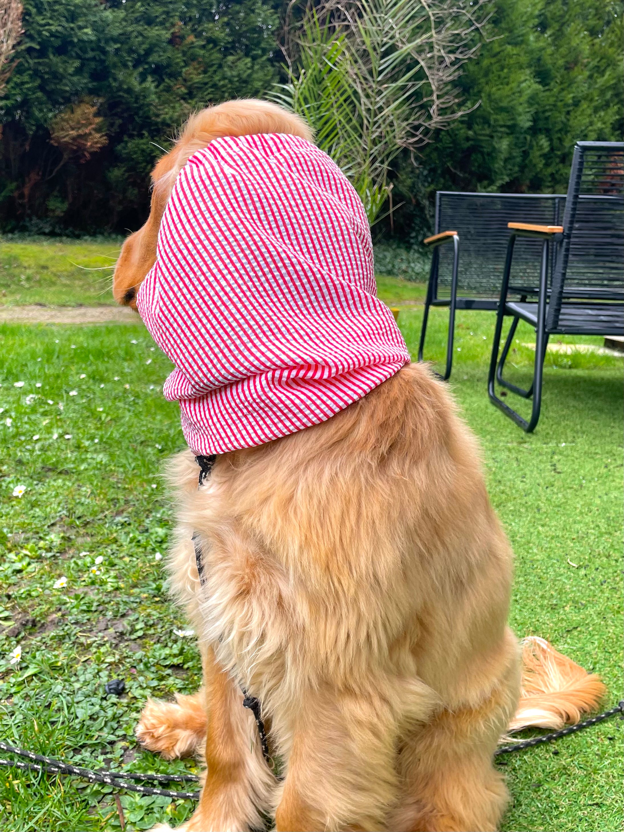 Snood seersucker