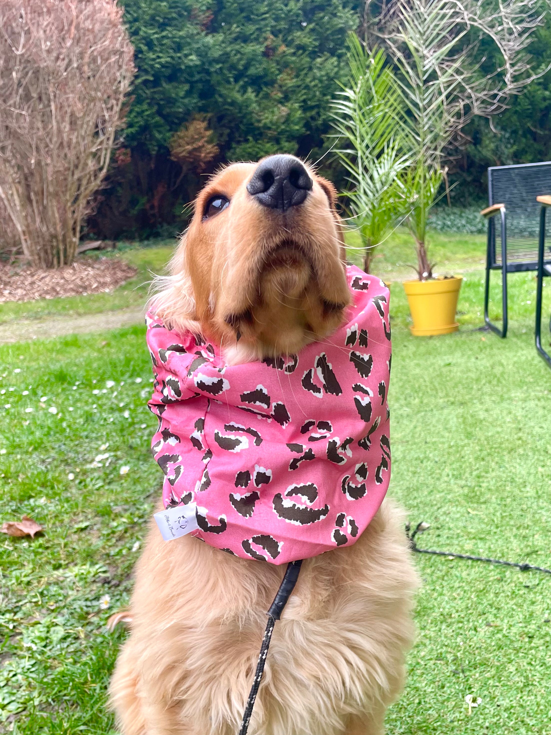 Snood coton léopard