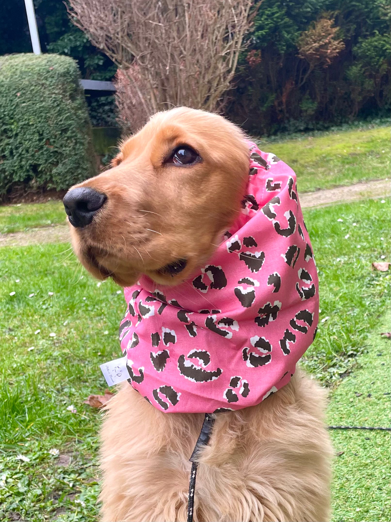 Snood coton léopard