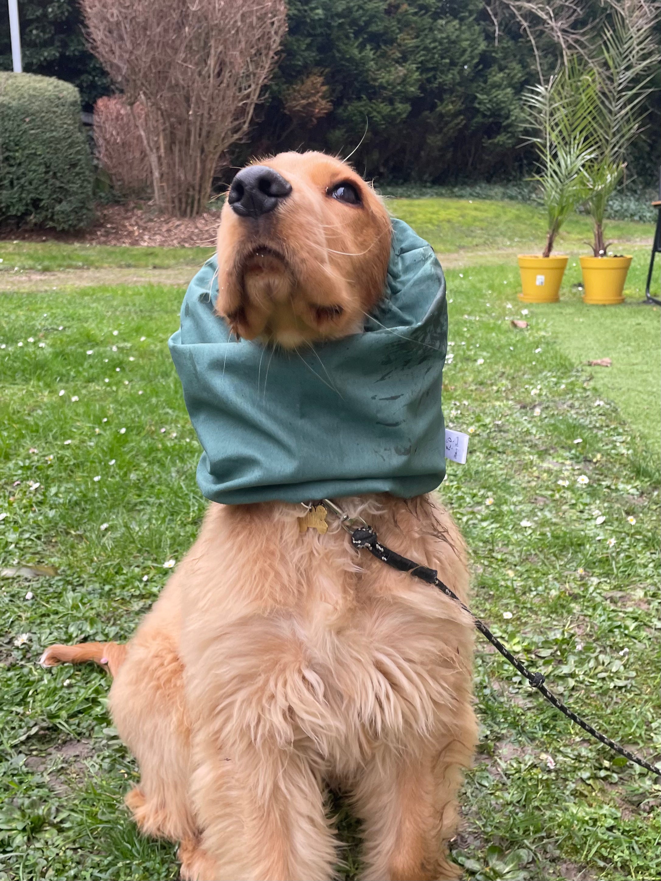 Snood coton