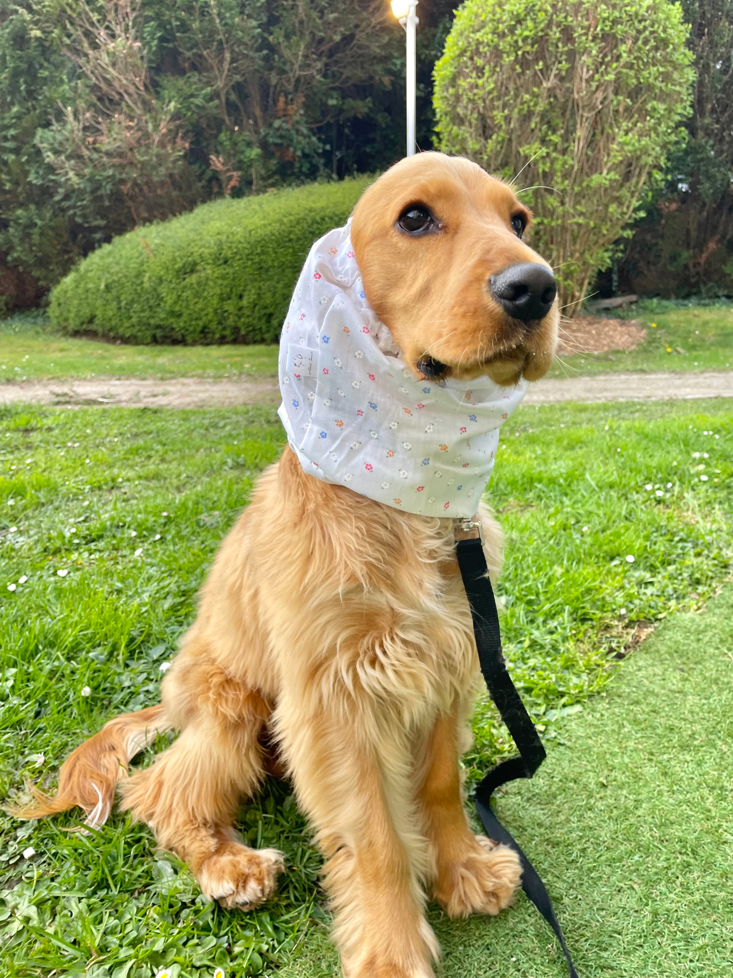 Snood coton