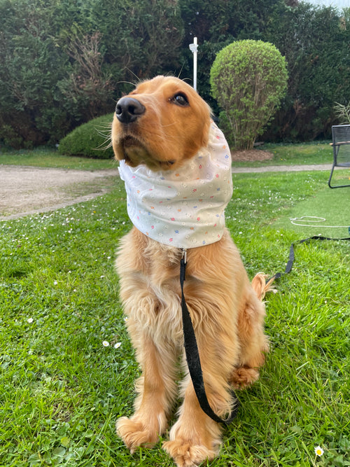 Snood coton