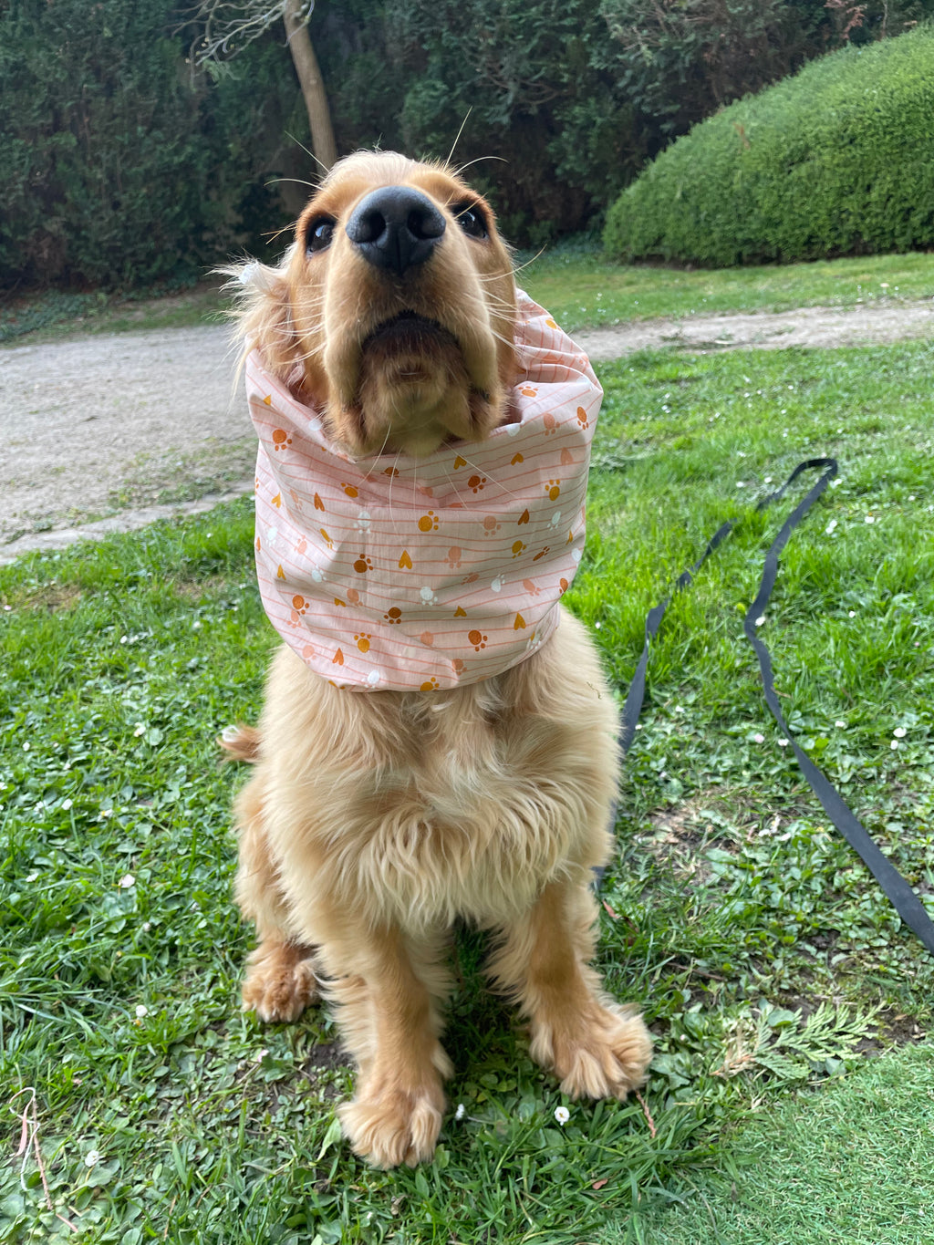 Snood toile de coton