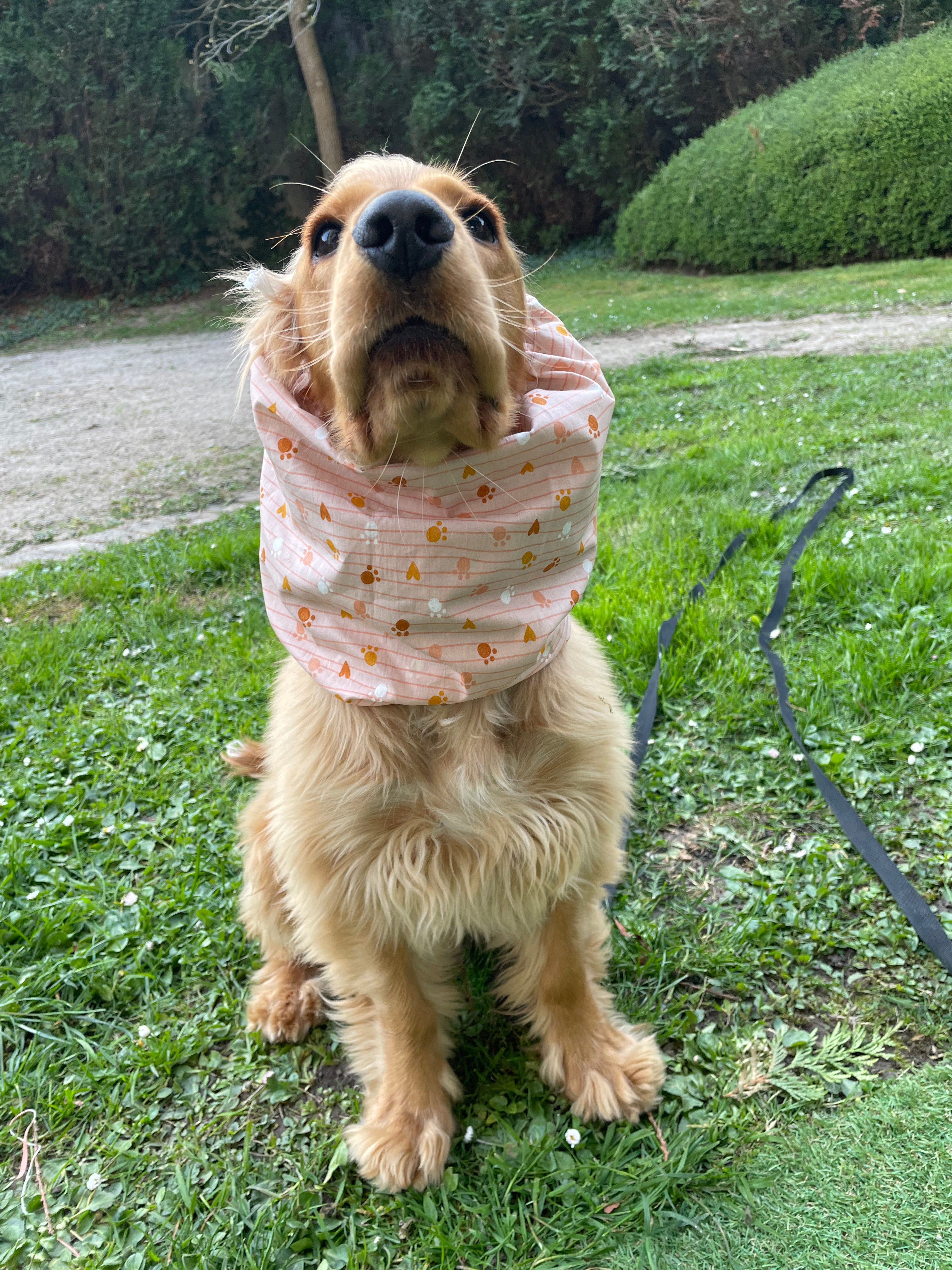 Snood toile de coton
