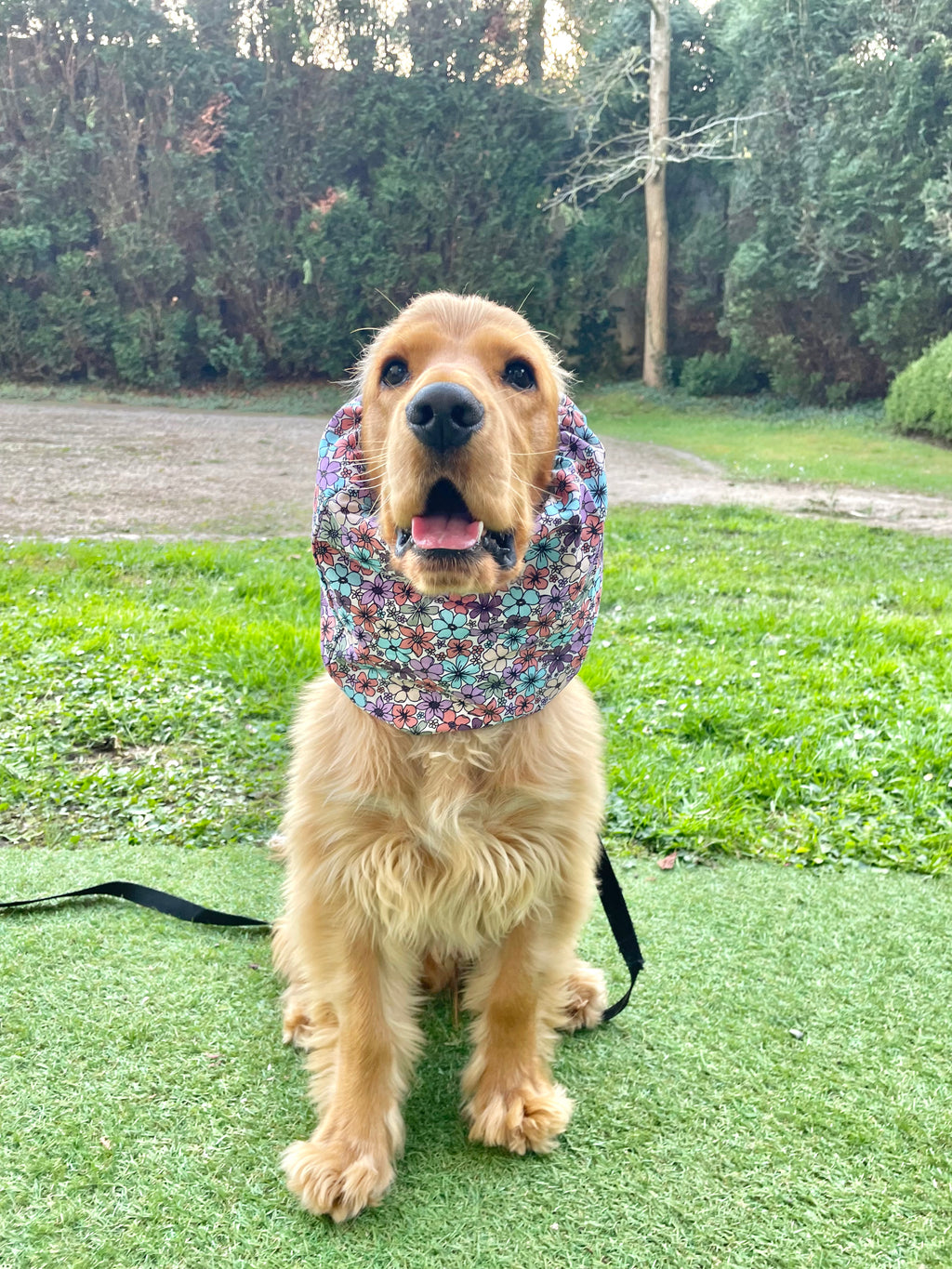 Snood coton