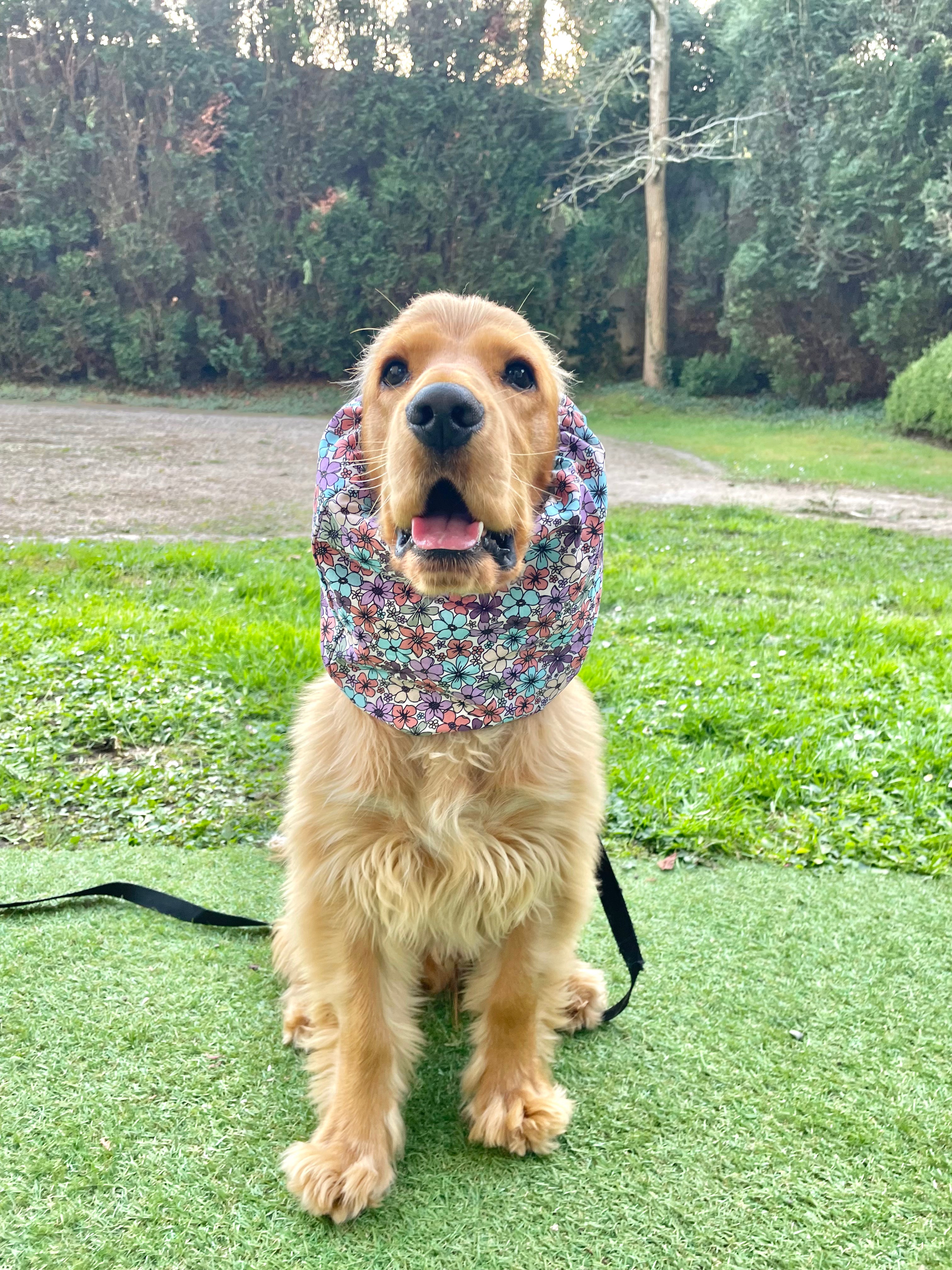 Snood coton