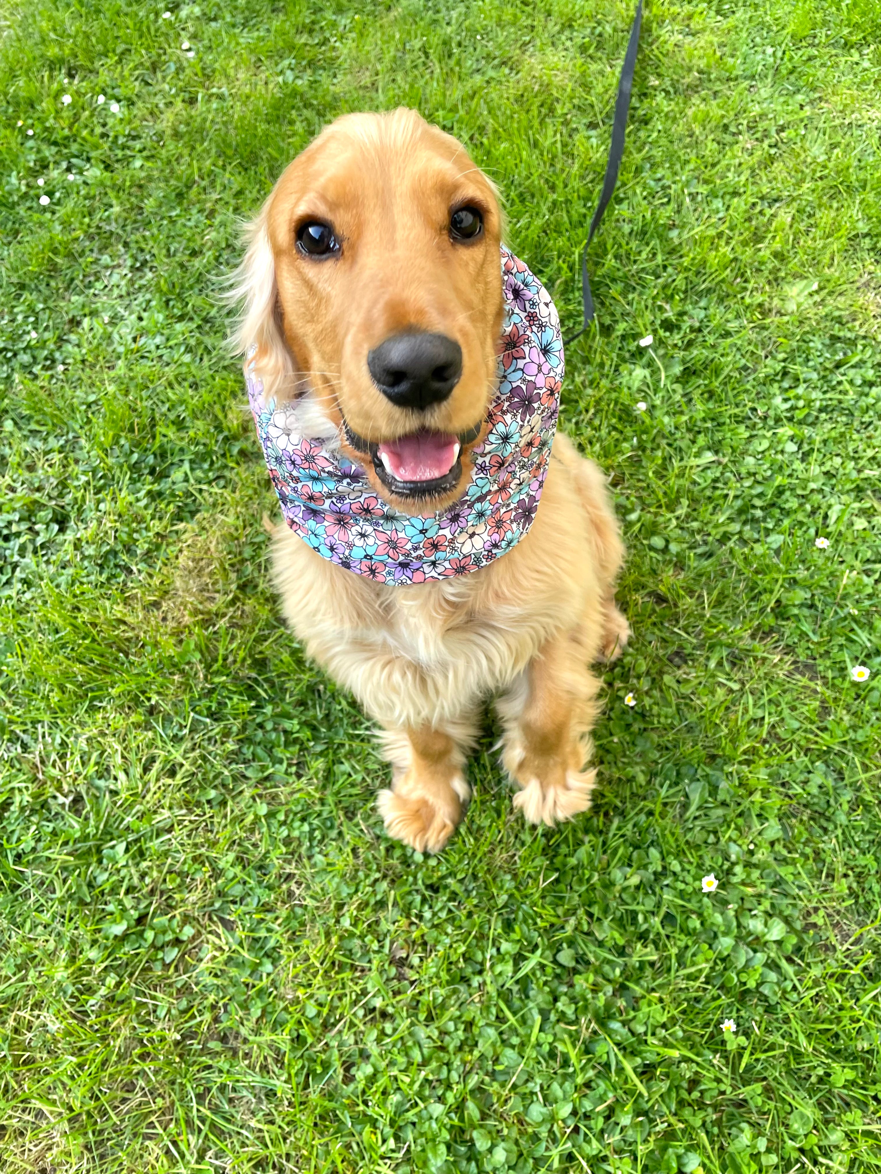Snood coton