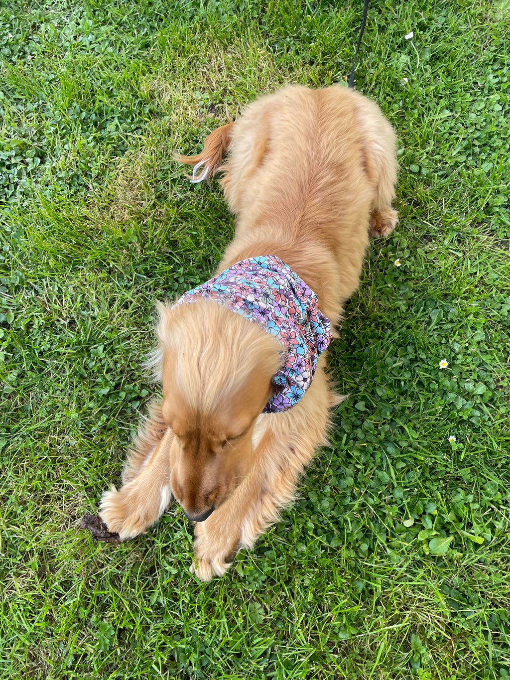 Snood coton
