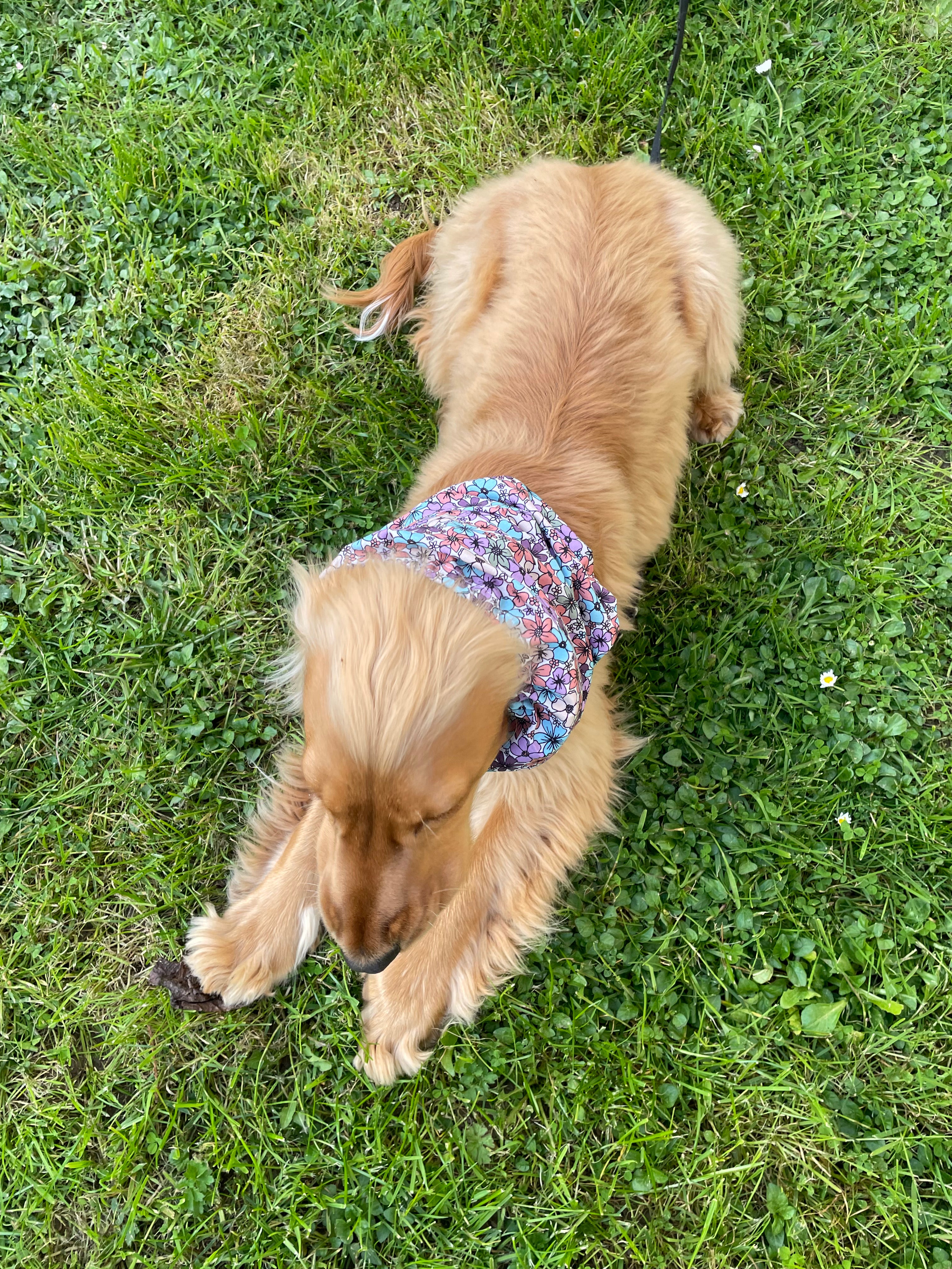 Snood coton