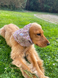 Snood coton