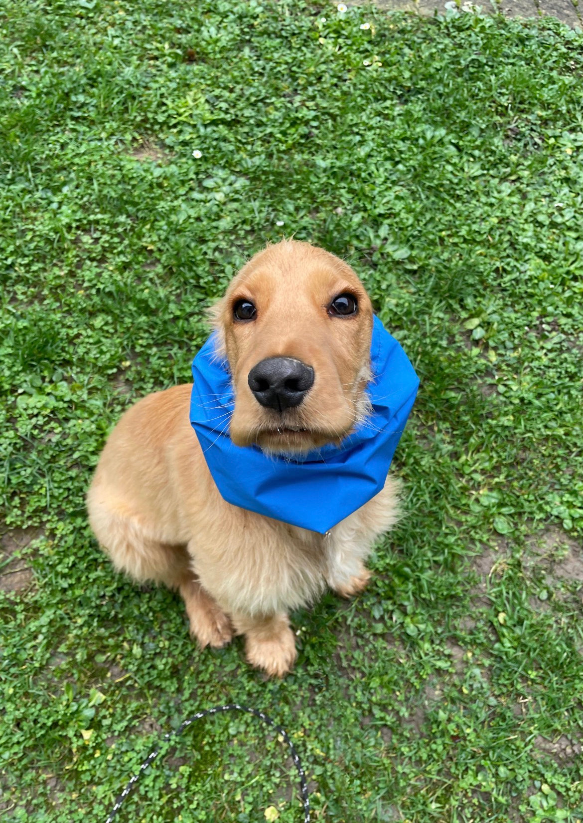 Snood imperméable