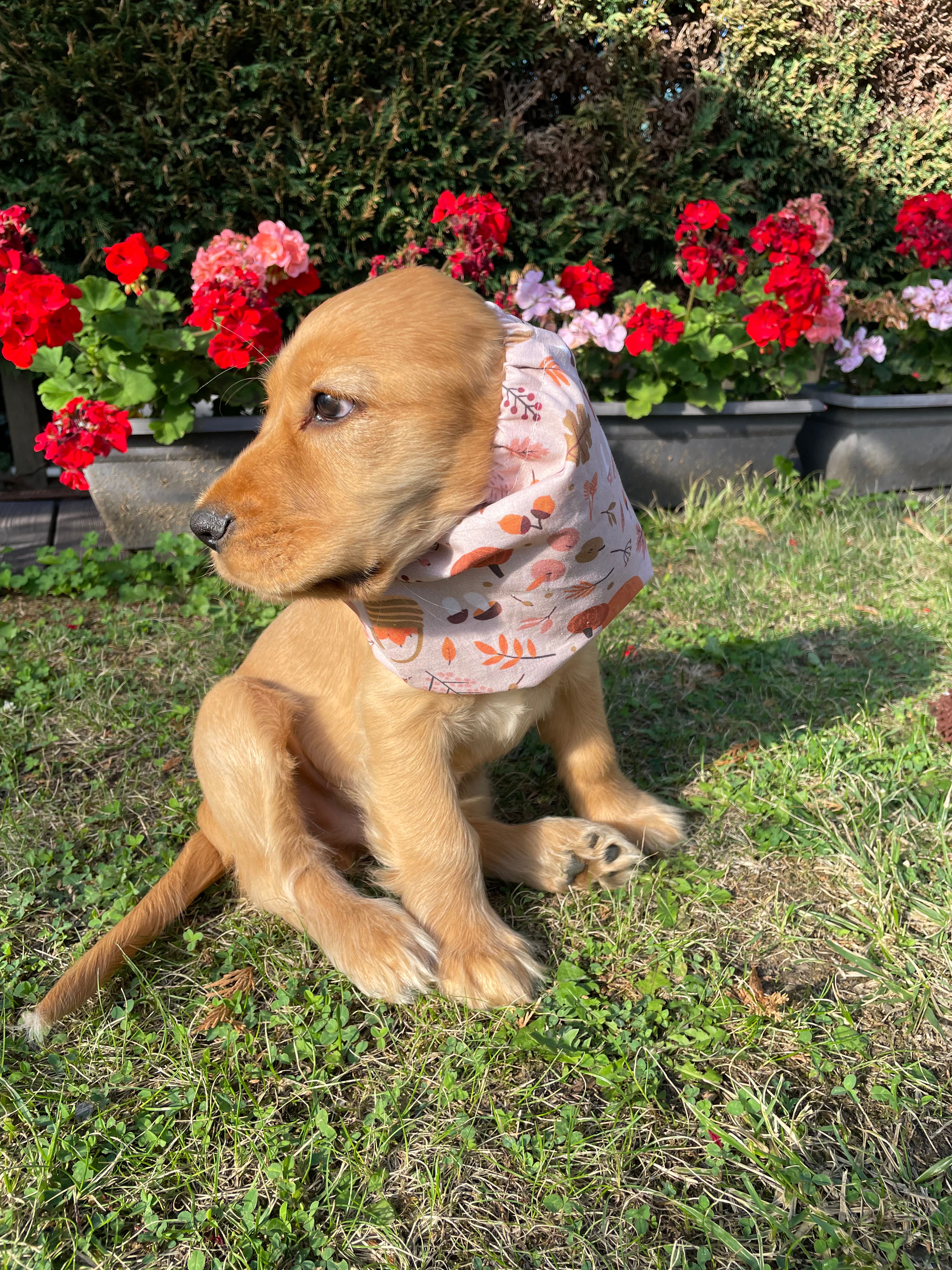 Snood coton