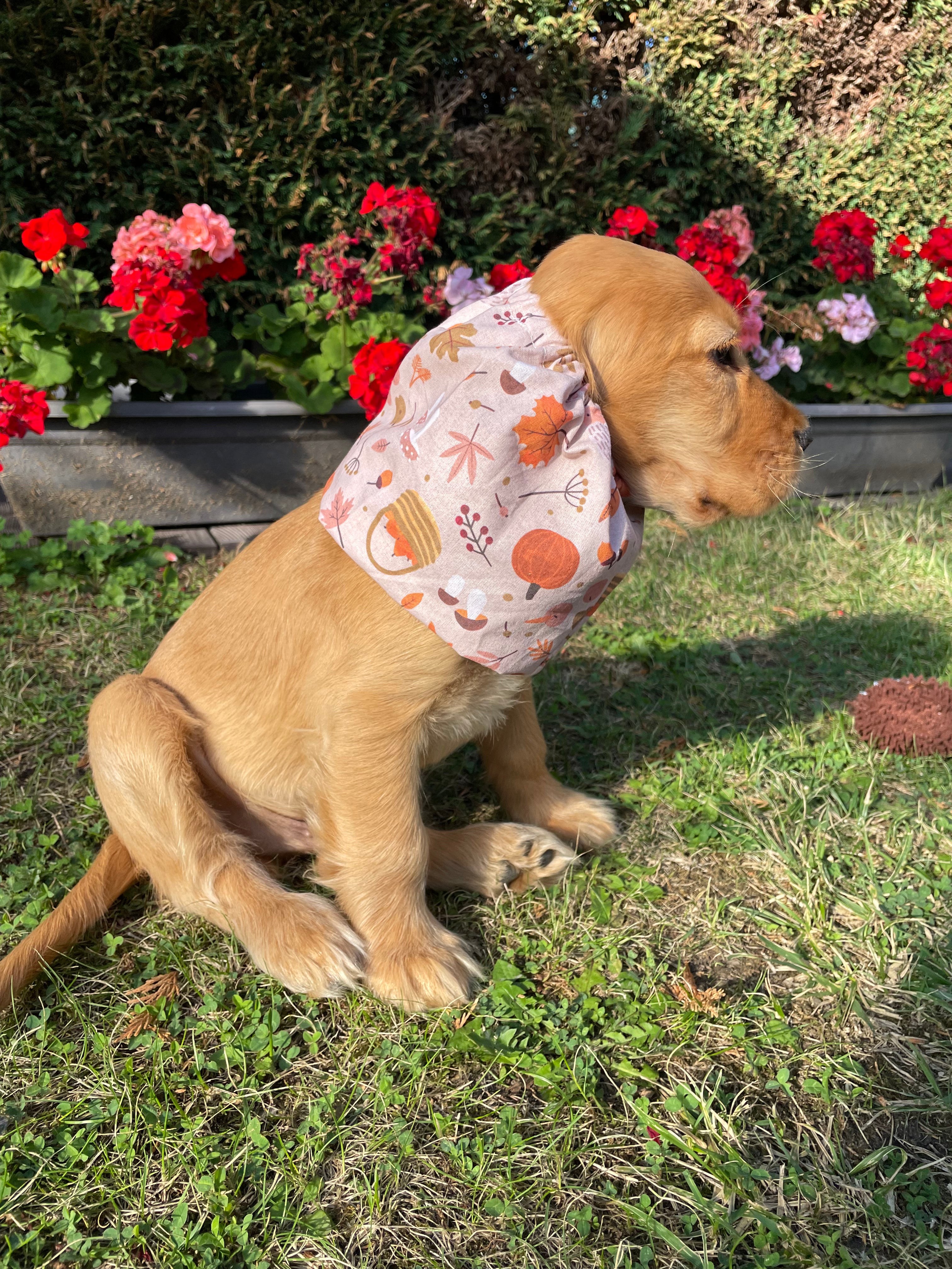 Snood coton
