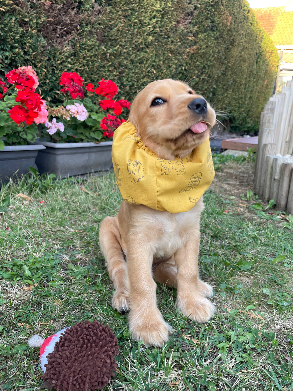 Snood coton